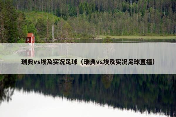 瑞典vs埃及实况足球（瑞典vs埃及实况足球直播）