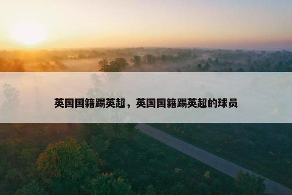 英国国籍踢英超，英国国籍踢英超的球员