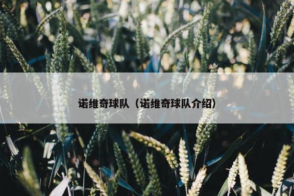 诺维奇球队（诺维奇球队介绍）