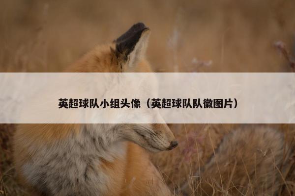 英超球队小组头像（英超球队队徽图片）
