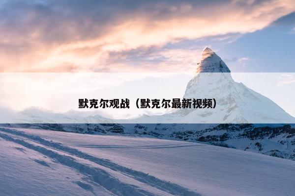 默克尔观战（默克尔最新视频）