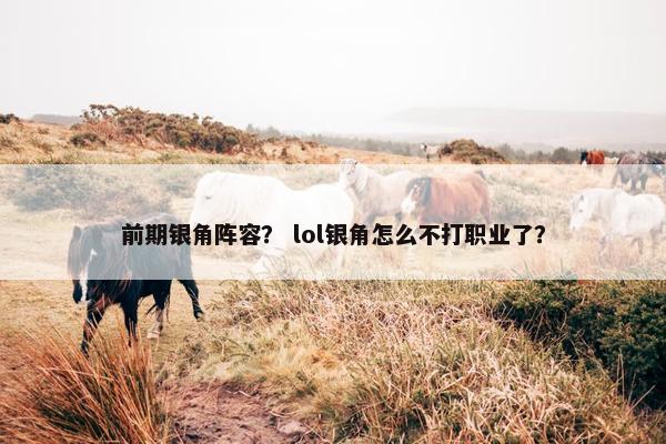 前期银角阵容？ lol银角怎么不打职业了？