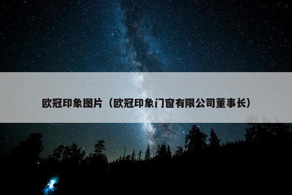 欧冠印象图片（欧冠印象门窗有限公司董事长）