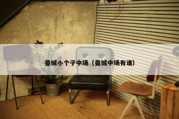 曼城小个子中场（曼城中场有谁）