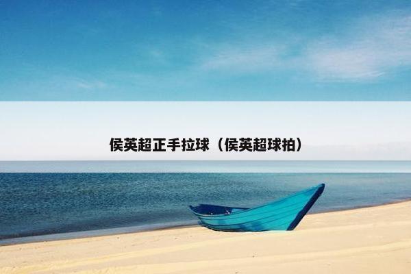 侯英超正手拉球（侯英超球拍）