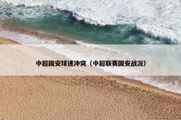 中超国安球迷冲突（中超联赛国安战况）