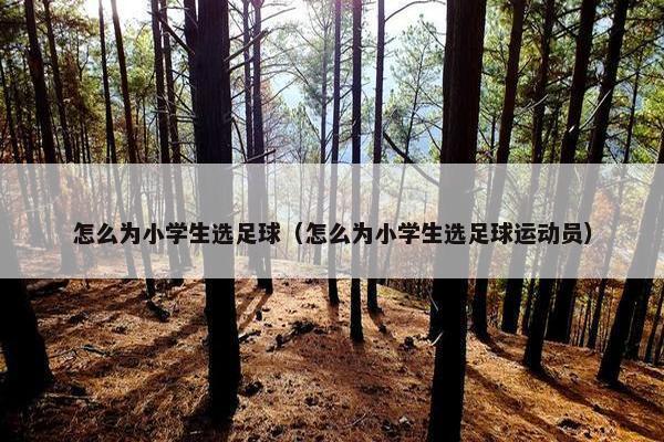 怎么为小学生选足球（怎么为小学生选足球运动员）