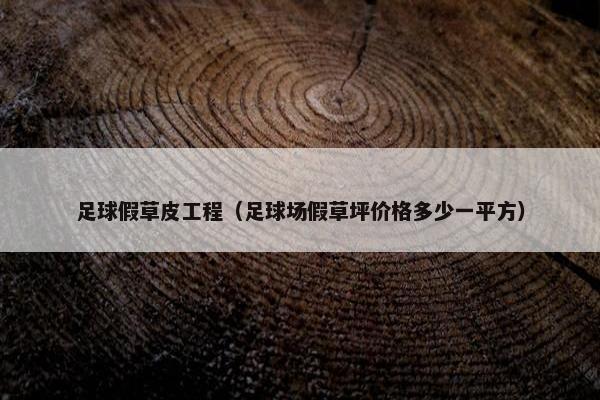 足球假草皮工程（足球场假草坪价格多少一平方）