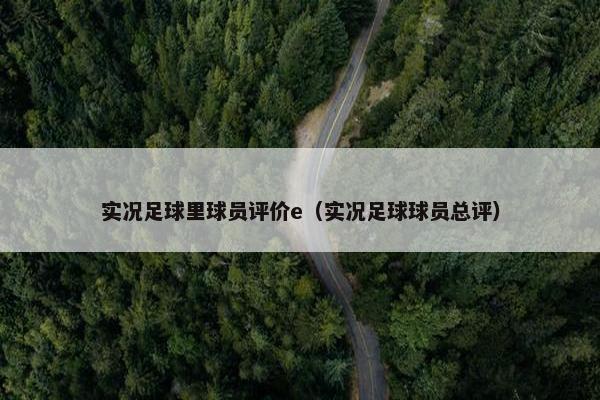 实况足球里球员评价e（实况足球球员总评）
