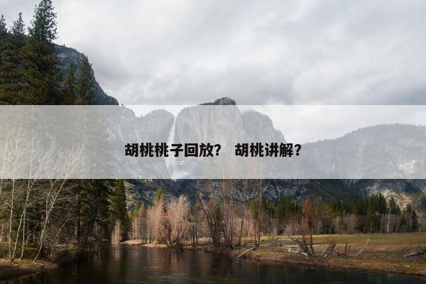 胡桃桃子回放？ 胡桃讲解？