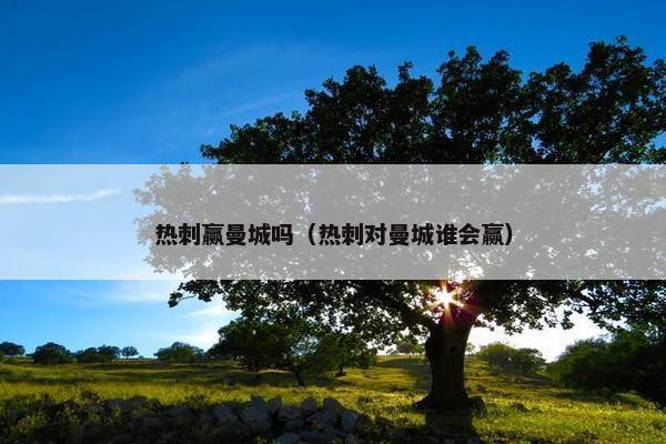 热刺赢曼城吗（热刺对曼城谁会赢）