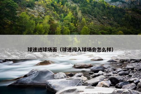 球迷进球场面（球迷闯入球场会怎么样）