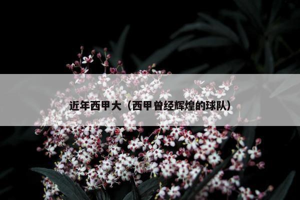 近年西甲大（西甲曾经辉煌的球队）