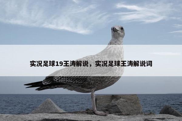 实况足球19王涛解说，实况足球王涛解说词