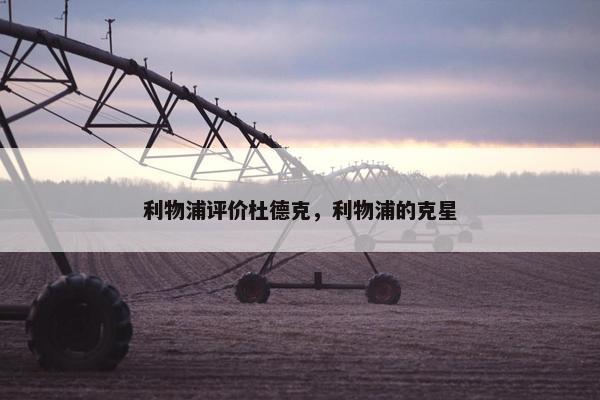 利物浦评价杜德克，利物浦的克星