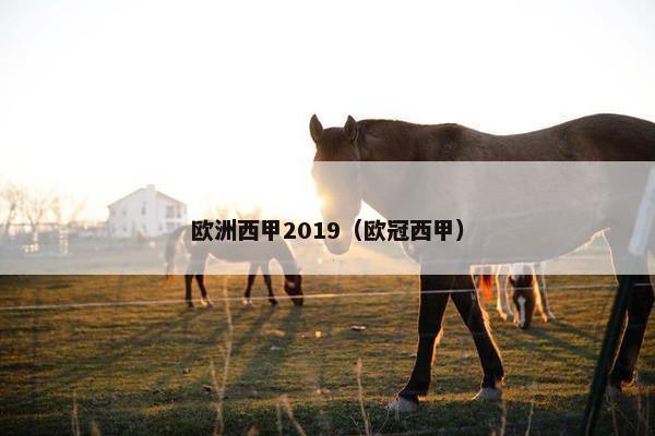 欧洲西甲2019（欧冠西甲）