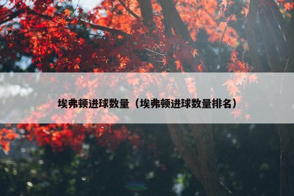 埃弗顿进球数量（埃弗顿进球数量排名）