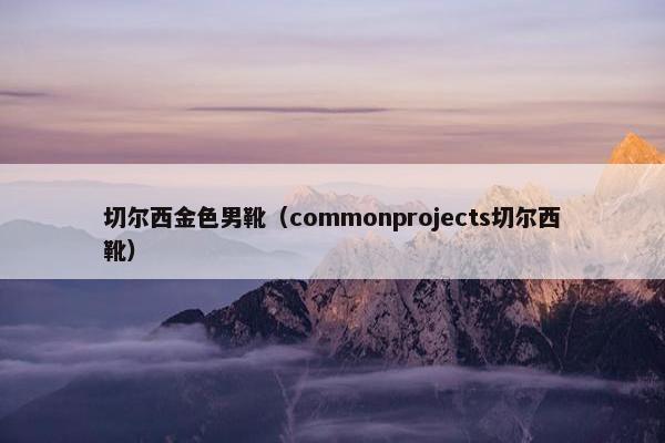 切尔西金色男靴（commonprojects切尔西靴）