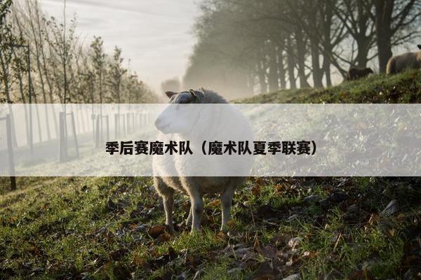 季后赛魔术队（魔术队夏季联赛）