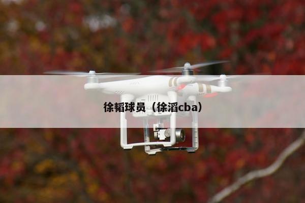 徐韬球员（徐滔cba）