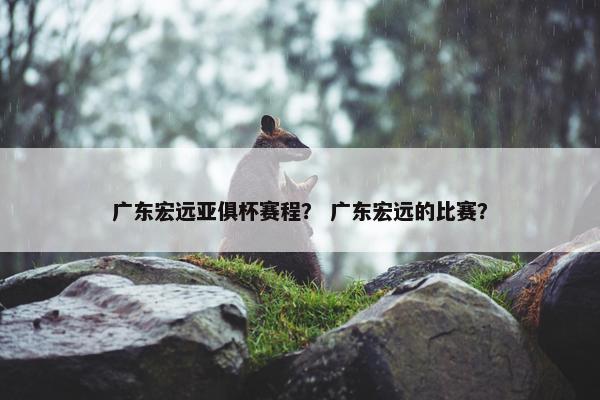广东宏远亚俱杯赛程？ 广东宏远的比赛？