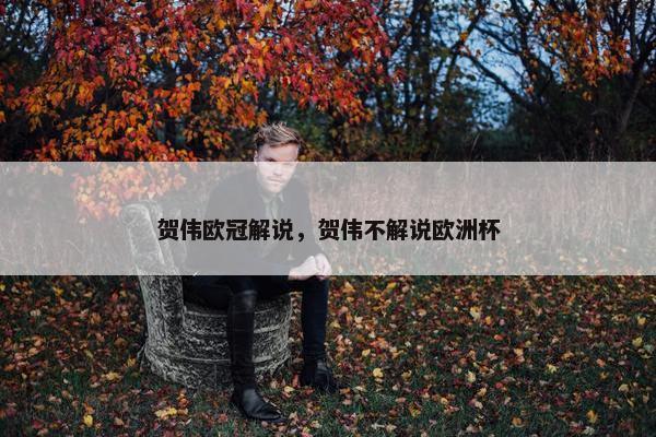 贺伟欧冠解说，贺伟不解说欧洲杯