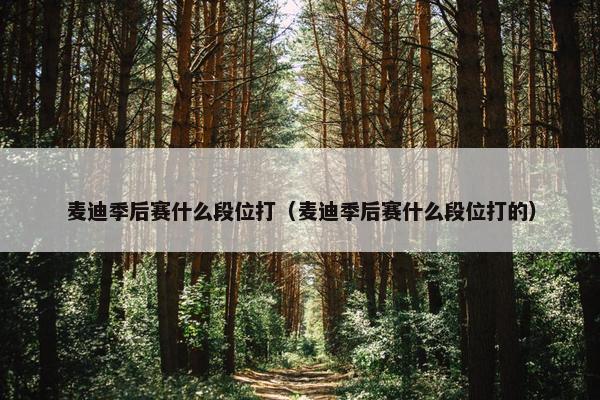 麦迪季后赛什么段位打(麦迪季后赛什么段位打的) 麦迪季后赛什么段位打(麦迪季后赛什么段位打的)