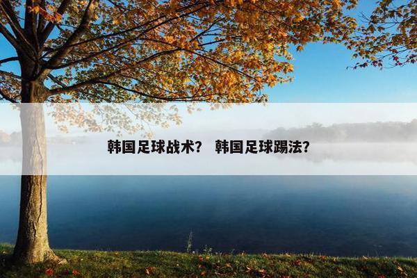 韩国足球战术？ 韩国足球踢法？