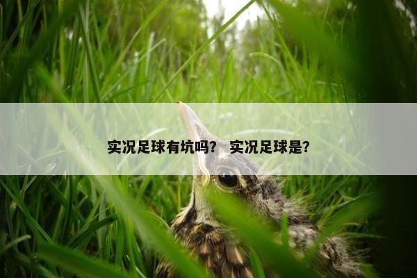 实况足球有坑吗？ 实况足球是？