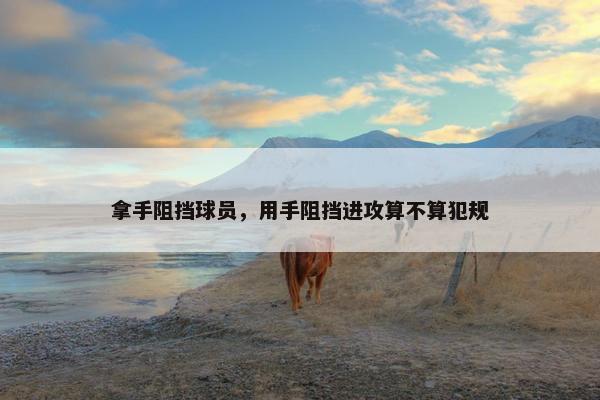 拿手阻挡球员，用手阻挡进攻算不算犯规