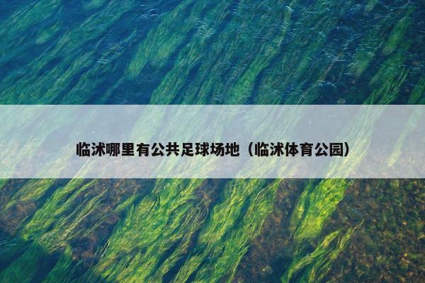 临沭哪里有公共足球场地（临沭体育公园）