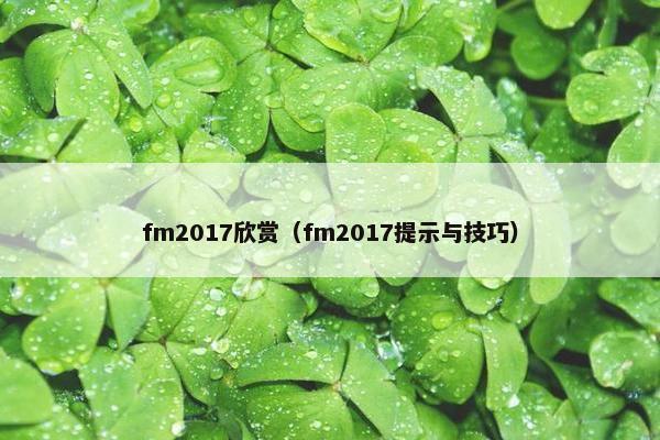 fm2017欣赏（fm2017提示与技巧）