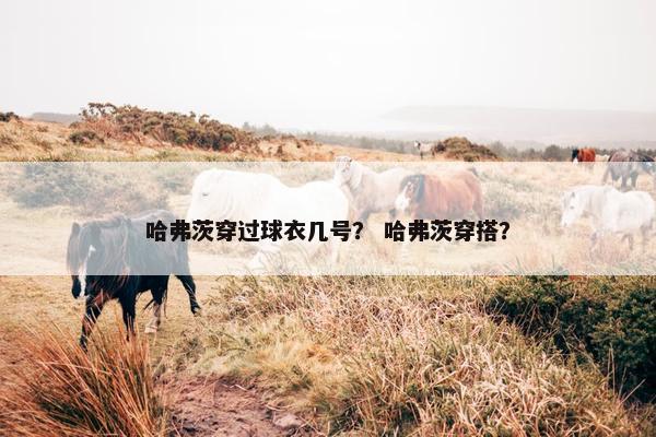 哈弗茨穿过球衣几号？ 哈弗茨穿搭？