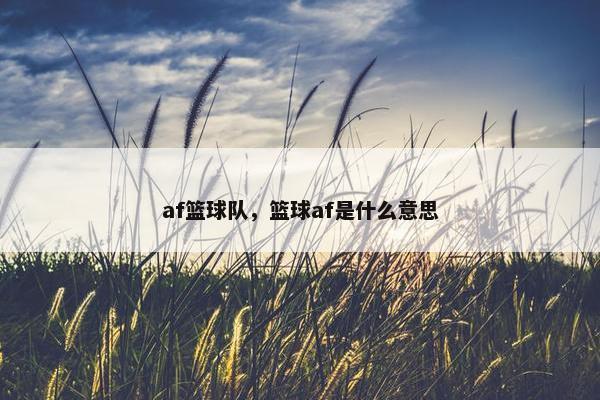 af篮球队，篮球af是什么意思