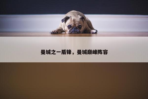 曼城之一盾锋，曼城巅峰阵容