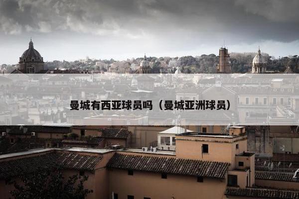曼城有西亚球员吗（曼城亚洲球员）