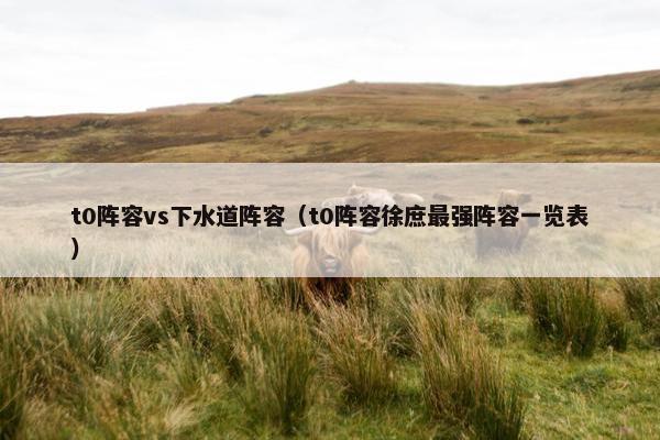 t0阵容vs下水道阵容（t0阵容徐庶最强阵容一览表）
