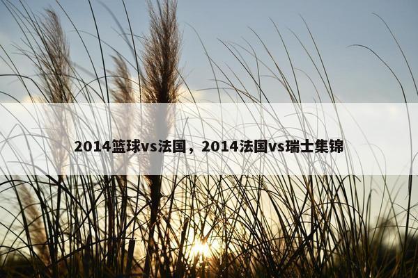 2014篮球vs法国，2014法国vs瑞士集锦