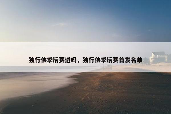 独行侠季后赛进吗，独行侠季后赛首发名单