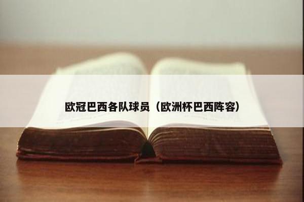 欧冠巴西各队球员（欧洲杯巴西阵容）