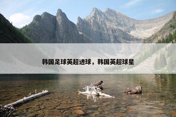 韩国足球英超进球，韩国英超球星