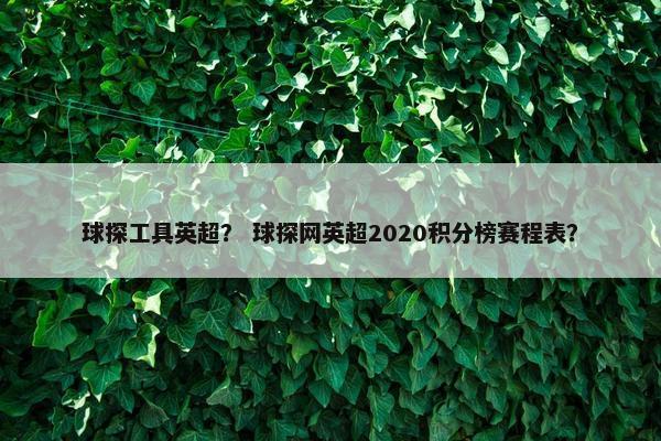 球探工具英超？ 球探网英超2020积分榜赛程表？