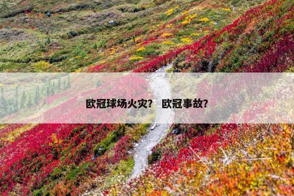 欧冠球场火灾？ 欧冠事故？