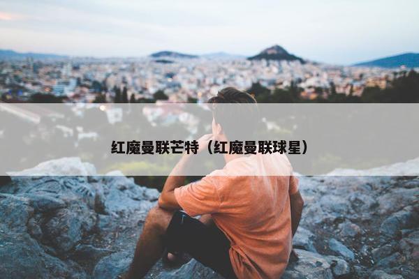 红魔曼联芒特（红魔曼联球星）