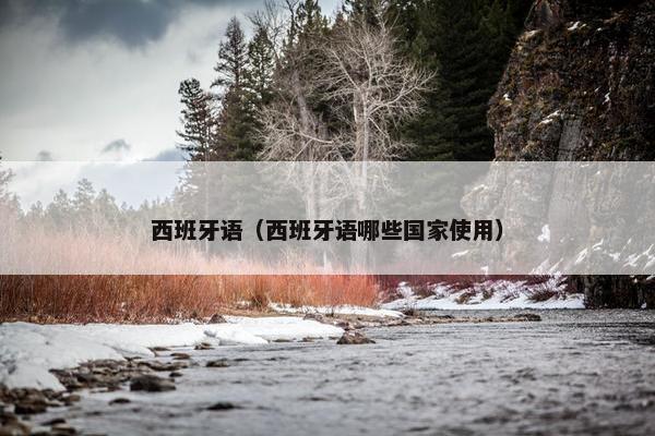 西班牙语（西班牙语哪些国家使用）