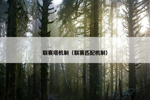 联赛塔机制（联赛匹配机制）