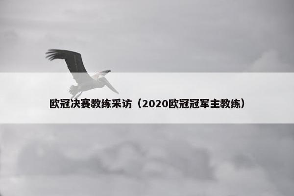 欧冠决赛教练采访（2020欧冠冠军主教练）