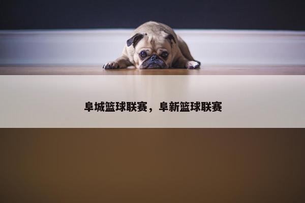 阜城篮球联赛，阜新篮球联赛