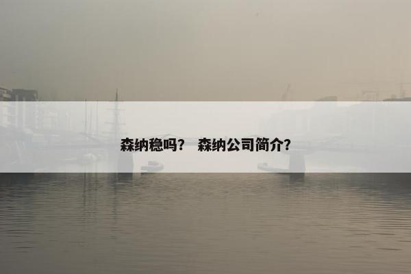 森纳稳吗？ 森纳公司简介？