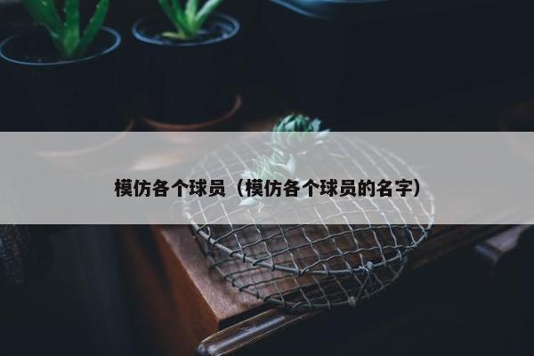 模仿各个球员（模仿各个球员的名字）